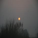 Vraj-Yatra-2014- (1543)